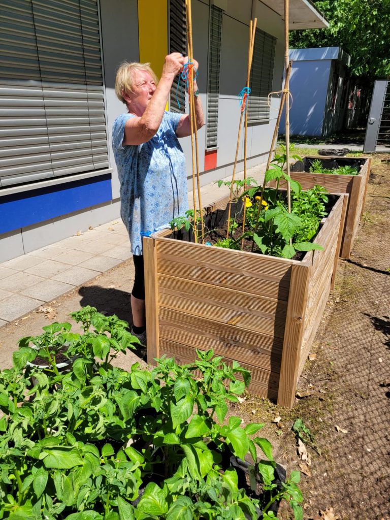 Der Kleingartenverein IDEAL e.V. unterstützt Pflanzaktion im Garten des Klabautermann e.V.