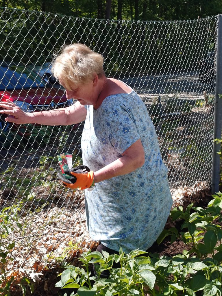 Der Kleingartenverein IDEAL e.V. unterstützt Pflanzaktion im Garten des Klabautermann e.V.