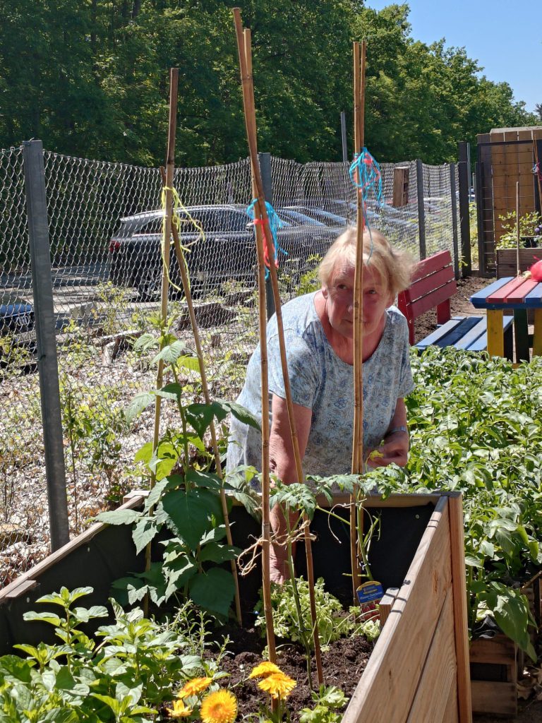 Der Kleingartenverein IDEAL e.V. unterstützt Pflanzaktion im Garten des Klabautermann e.V.